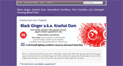Desktop Screenshot of black-ginger.com